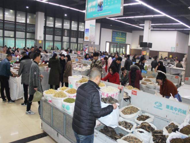 2018年中國亳州中藥材專業(yè)市場隆重開市，藥市新篇起航